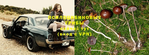 тгк Осинники