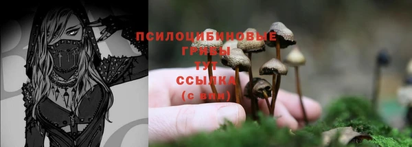 дмт Остров