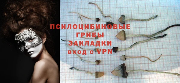 эйфоретик Пестово