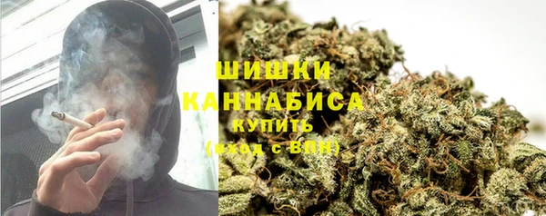 тгк Осинники