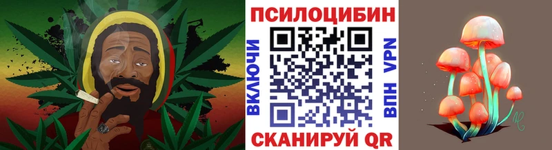 kraken сайт  Тюкалинск  Псилоцибиновые грибы ЛСД 