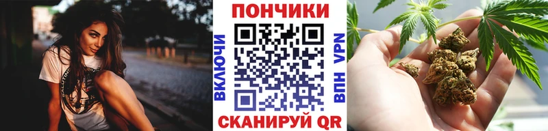 где купить Тюкалинск Канабис индика